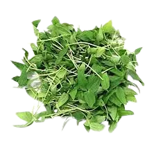 Mung Beans Microgreens- 100g